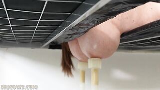 HuCows Jada Sparks Milking Bed